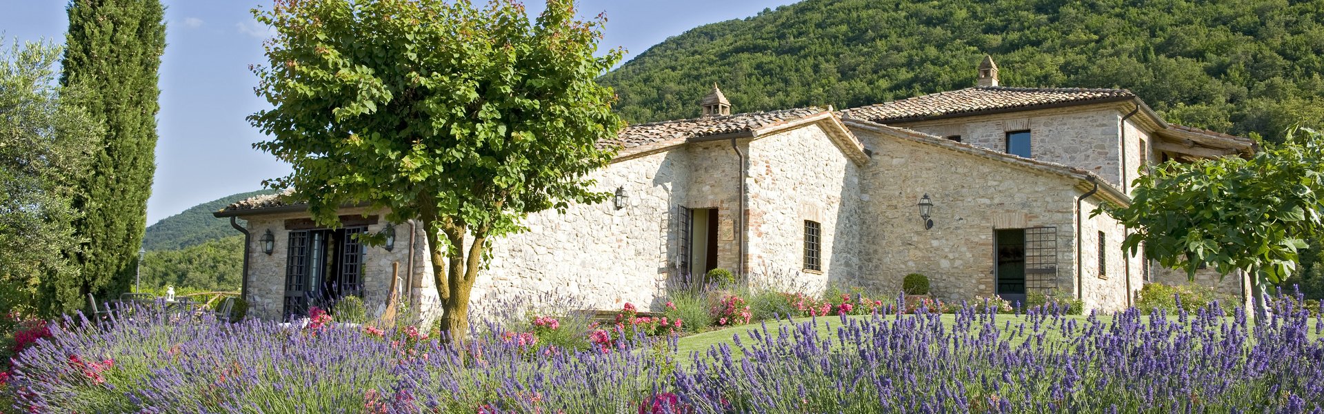 Italian stone villa with lavender garden and cypress tree in Umbrian hills